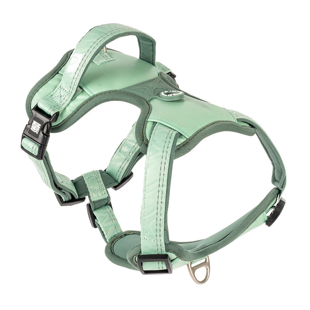 Arnés ID Sport - Matrix 2.0 Jade