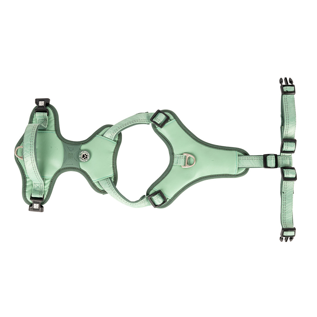 Arnés ID Sport - Matrix 2.0 Jade