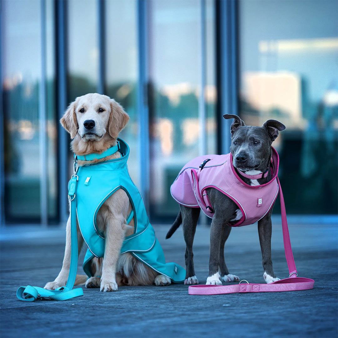 Raincoat