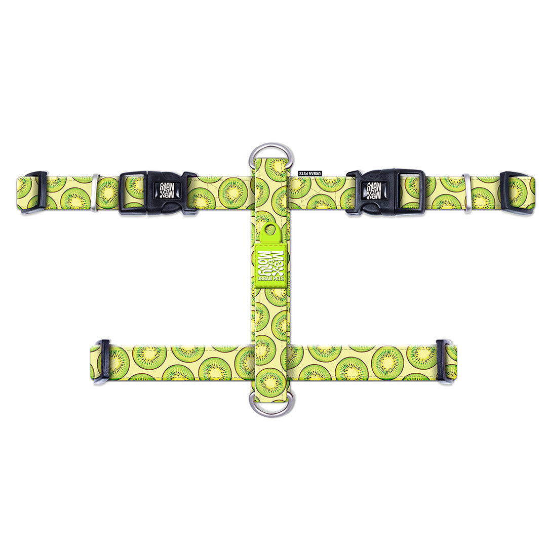 Arnés H - Kiwi