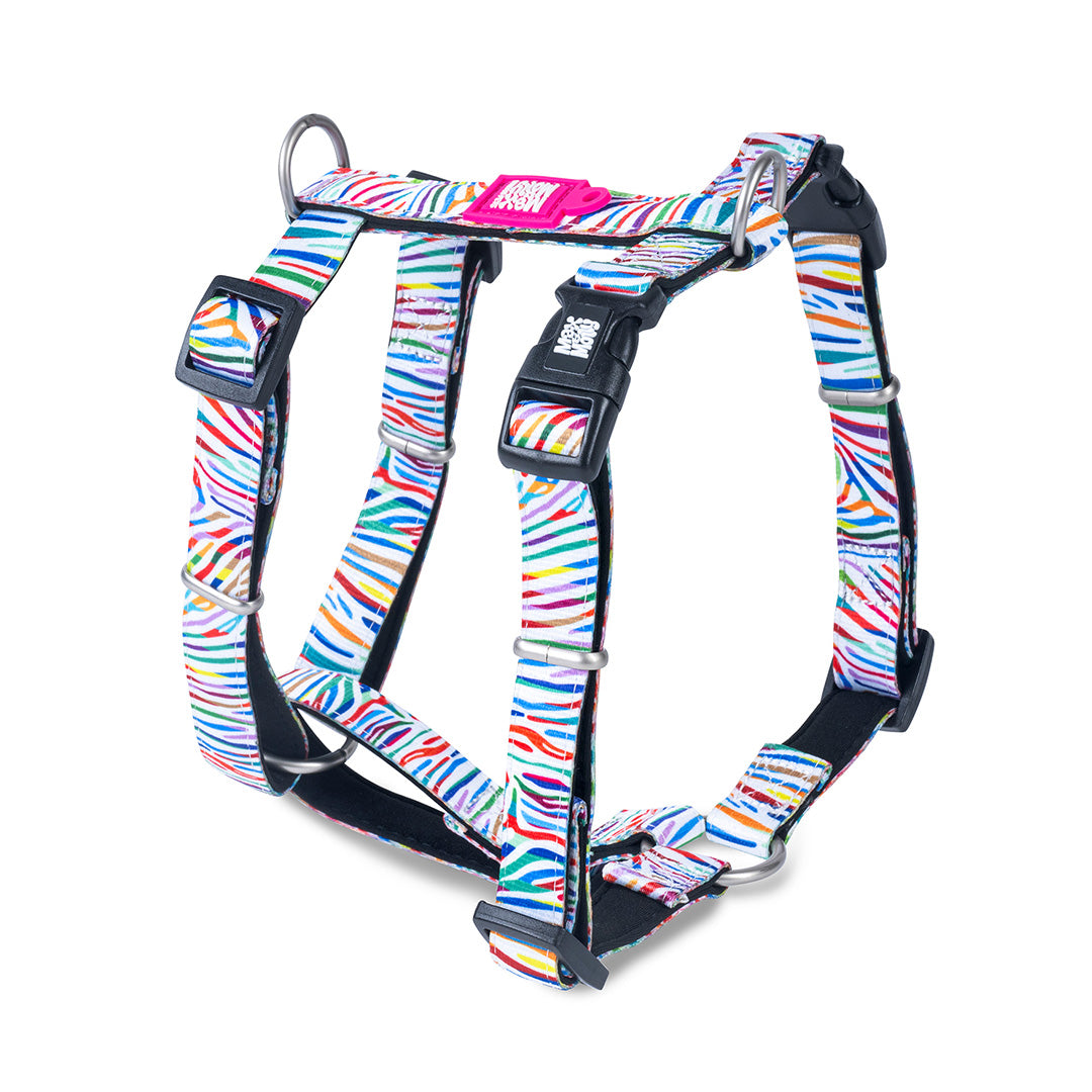 Arnés H - Magic Zebra