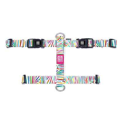 Arnés H - Magic Zebra