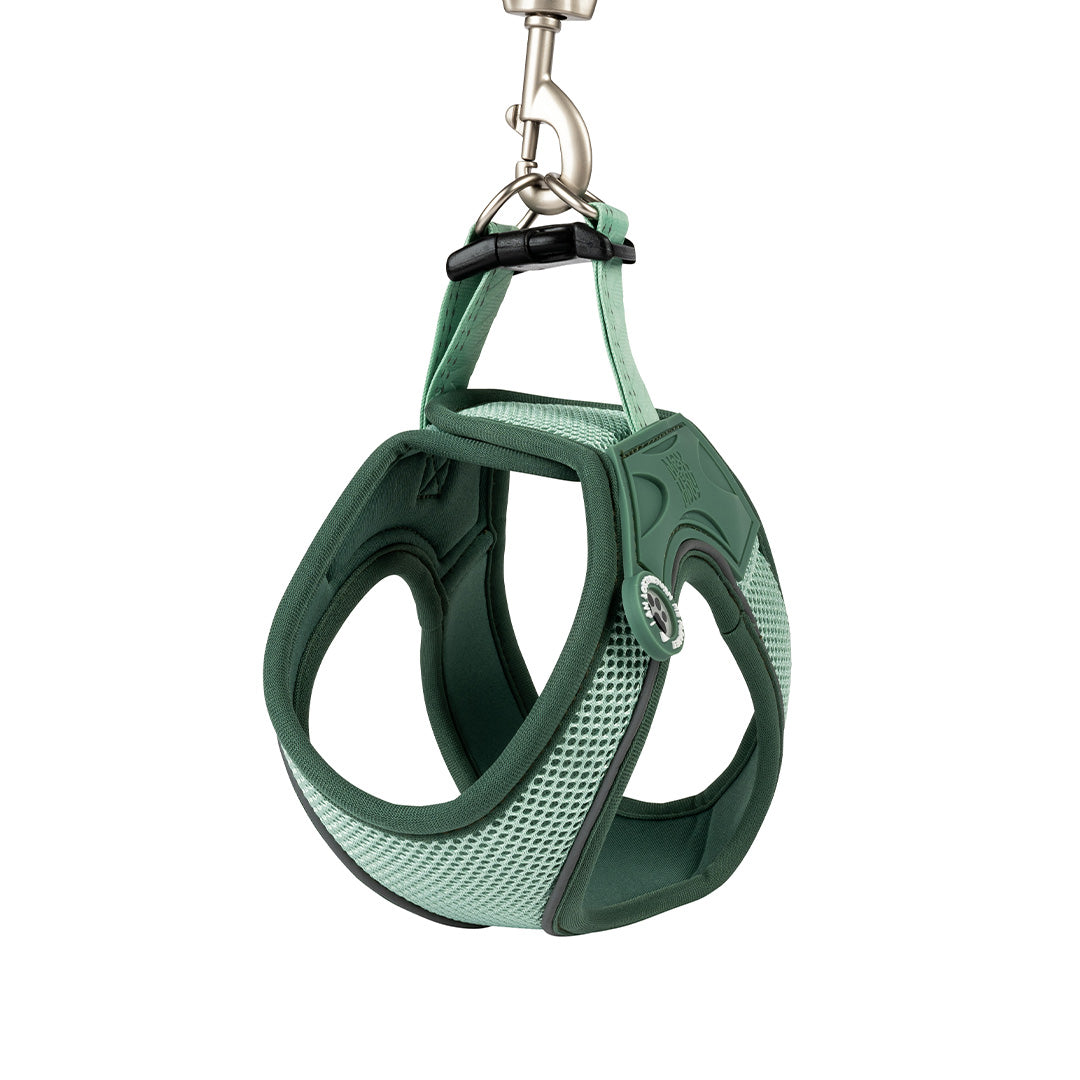 Arnés para perros Air Vest - Matrix 2.0 Jade