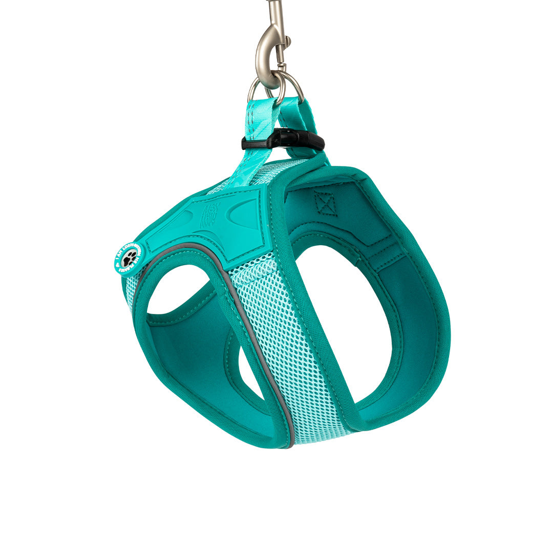Arnés para perros Air Vest - Matrix 2.0 Turquoise