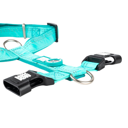 Arnés H ID Comfort - Matrix 2.0 Turquoise