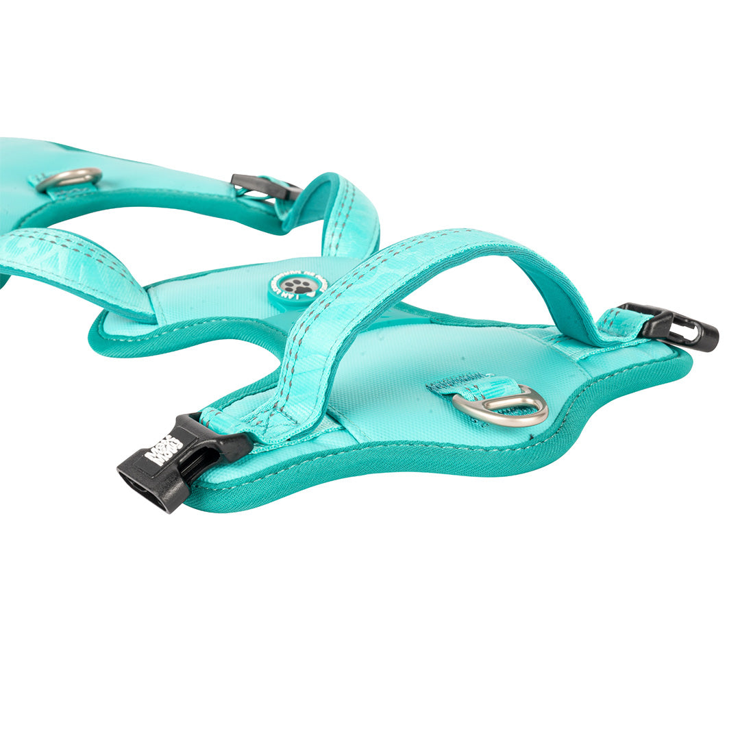 Arnés ID Sport - Matrix 2.0 Turquoise