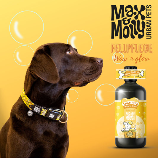 Champú para perros Glossy Coat - Fluff' n Buff 250ml