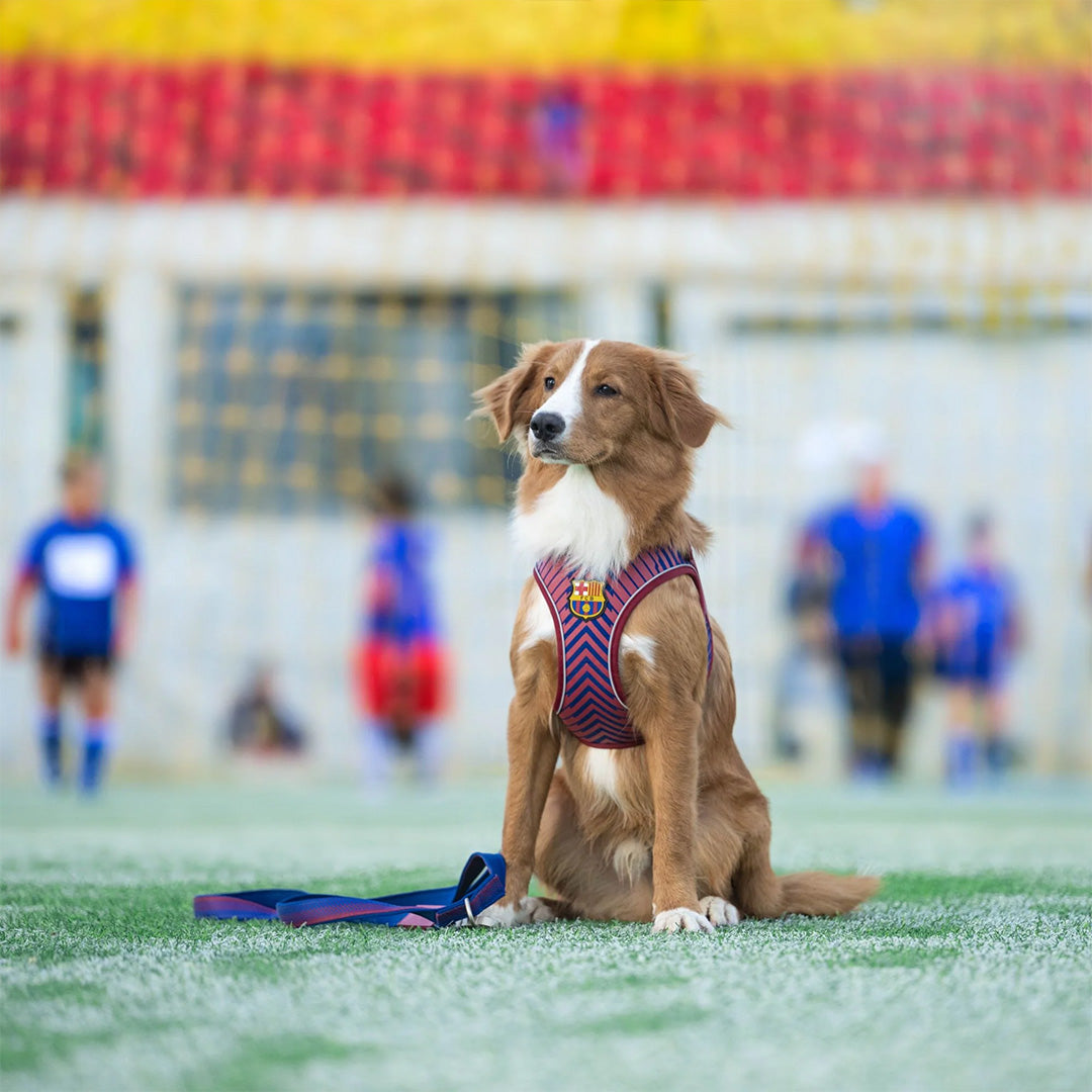 FC Barcelona Air Vest Arnés