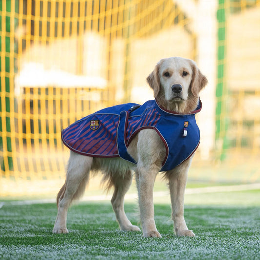 Raincoat - FC Barcelona