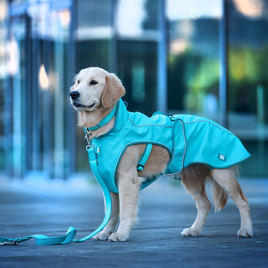 Raincoat - MATRIX 2.0 Turquoise