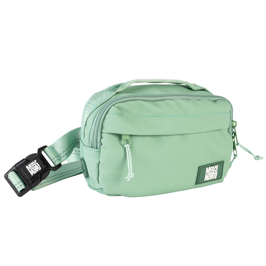Bolsa de paseo para perros - Matrix 2.0 Jade