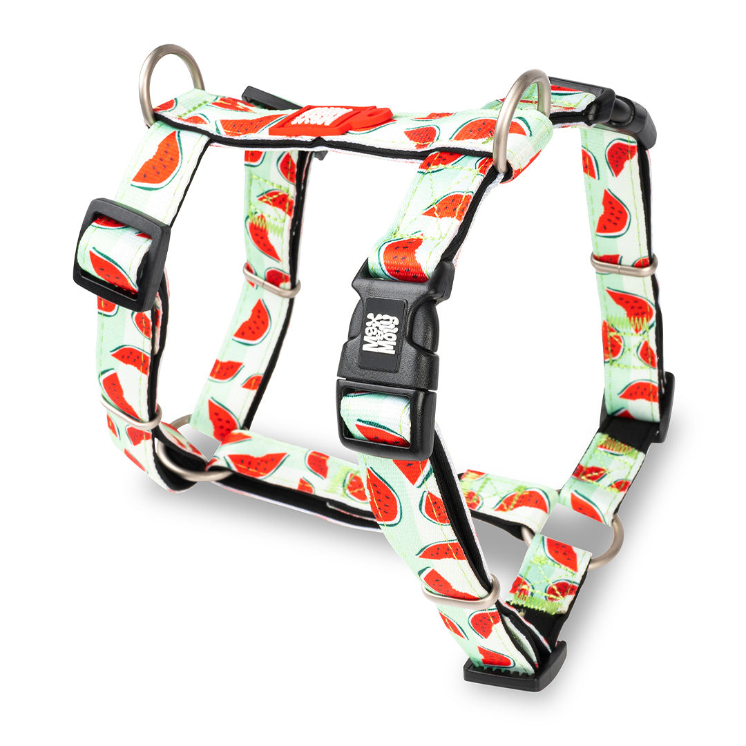 Arnés H - Watermelon